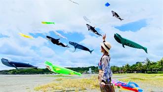 暑期嗨翻天首辦旗津風箏節 海洋動物翱翔藍天