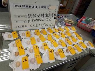 夾帶33顆禽鳥蛋企圖闖關 台北關：可處7年以下有期徒刑