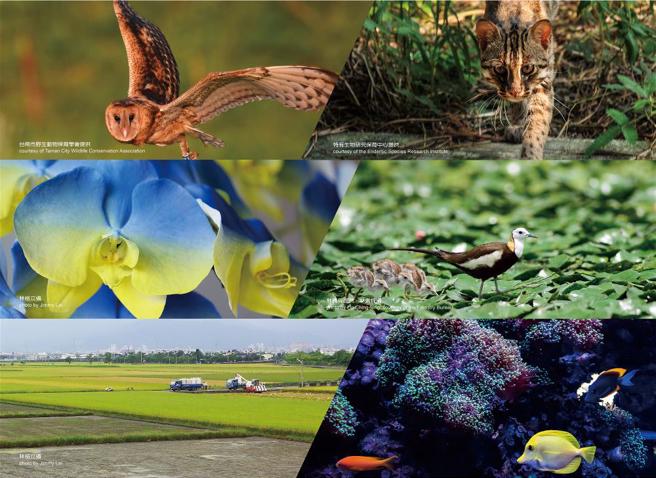 （圖/ 台灣光華提供）
