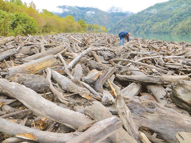 農委會林務局昨日宣布，在兼顧民眾習慣、藝術工作者需求與強化木材溯源管理等前提下，大幅鬆綁漂流木撿拾相關規定圖為漂流木資料照。（南投林管處提供）