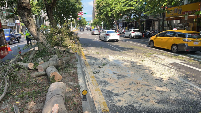 北市民权东路路树倒塌压一车，造成严重塞车所幸无人受伤。(翻摄/林郁平)