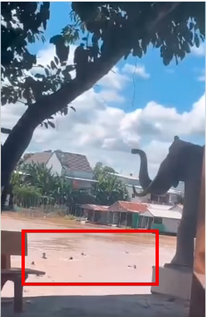 逃亡者躍入河中躲避追緝，據了解，河的對面就是月越南領土。（圖／擷取自柬中時報FB）