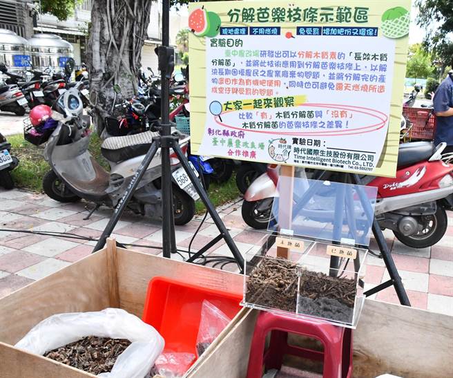 彰化县府农业处19日在社头乡朝兴国小校门口办理番石榴枝条分解菌示范观摩会。（吴敏菁摄）