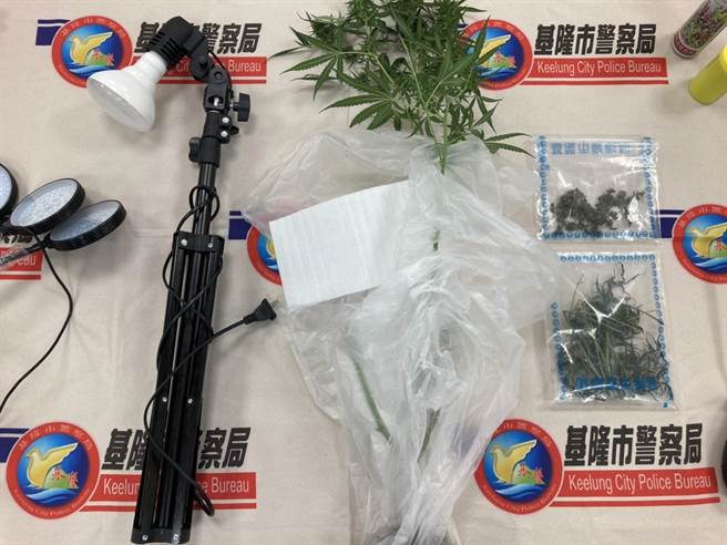 基隆市刑警大隊查獲印度籍工程師在公寓大樓內種植二級毒品大麻，移送新竹地檢偵辦。（基隆市警察局提供／張志康基隆傳真）