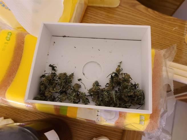 基隆市刑警大隊查獲印度籍工程師在公寓大樓內種植二級毒品大麻，移送新竹地檢偵辦。（基隆市警察局提供／張志康基隆傳真）
