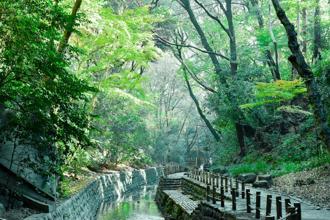 東京也有芬多精綠洲 漫步溪谷賞美景、造訪瀑布旁的甜點店