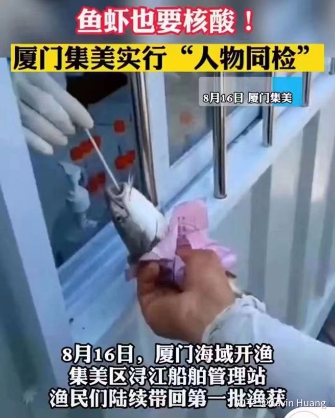 网民对于核酸检测做到渔获身上极感兴趣，成为热门话题。议论纷纷地分析各种渔获採样的位置以及要用何种方式检验 。（图／微博）