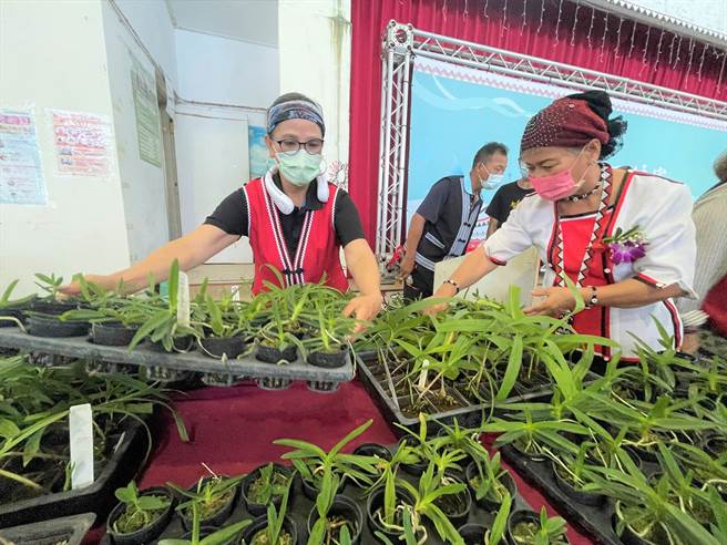台灣電力公司20日在蘭嶼舉辦2022年環境生態復育「蘭嶼蘭花回娘家」。（莊哲權攝）