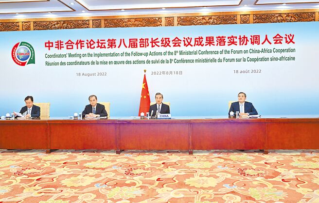 中国国务委员兼外长王毅18日在北京以视讯方式主持中非合作论坛第八届部长级会议成果落实协调人会议。（新华社）