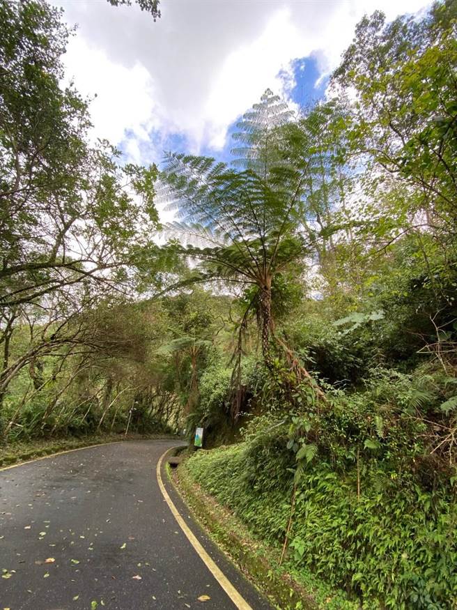 花东纵谷国家风景区管理处鲤鱼潭环境教育中心利用鲤鱼潭环潭步道的多种民俗植物，开设2套原住民族文化环境教育课程，让民眾学习原住民族的自然智慧，并瞭解在地的环境议题，进而爱护大自然。（纵管处提供／罗亦晽花莲传真）