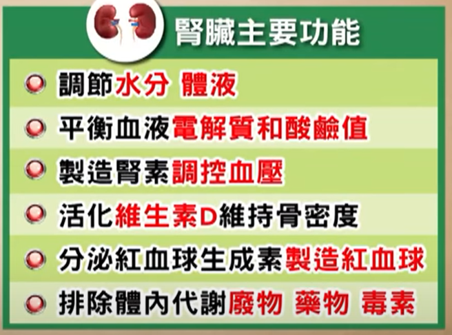 肾臟主要功能。（图／取自《健康2.0》）