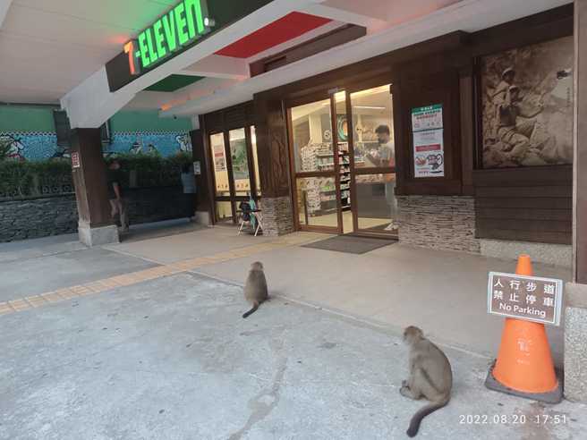 网友在中横公路天祥游憩区内的超商，准备拿泡好的泡麵出来时，突然遭到1只猴子袭击抢食，泡麵被打翻，热水直接烫伤他的腿，造成2颗大水泡。（翻摄自脸书「爆怨公社」）