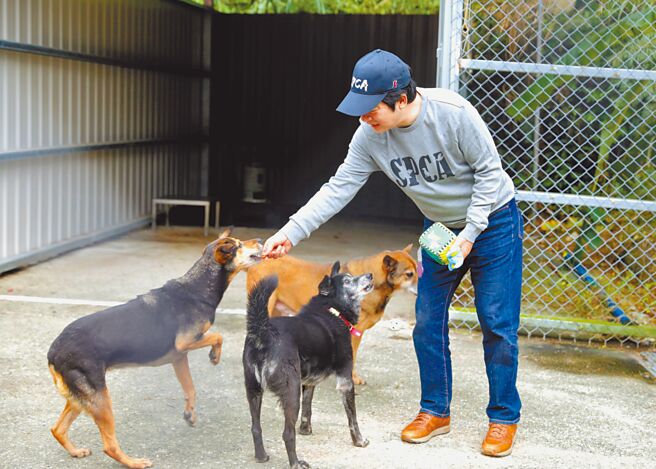 副总统赖清德感性自述12年前在街头遇见1只流浪狗，这只「毛小孩」如何走进他的生命、成为家人的故事。图为今年1月他到新北市瑞芳动物之家担任志工。（总统府提供）