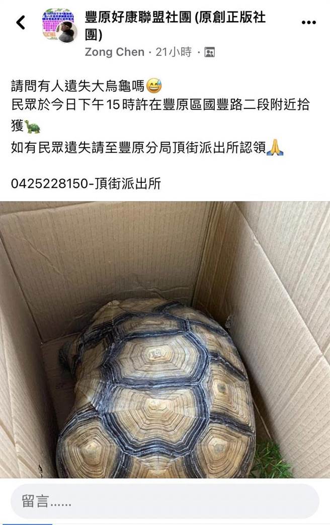 警方將該隻陸龜的照片po文在臉書「豐原好康聯盟社團」，「請問有人遺失大烏龜嗎？」(警方提供)