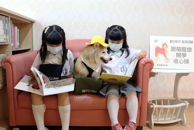 新北市新北市「宠物友善图书馆」新庄裕民分馆举办宠物伴读活动，帮助小朋友收心迎接开学。（新北市立图书馆提供）