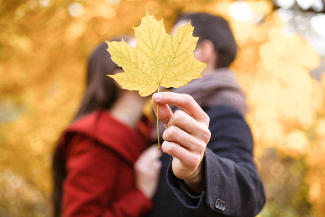 明（23日）處暑過後，生肖豬將擁有愛神降臨、財神眷顧的雙倍幸運。（示意圖／Shutterstock）