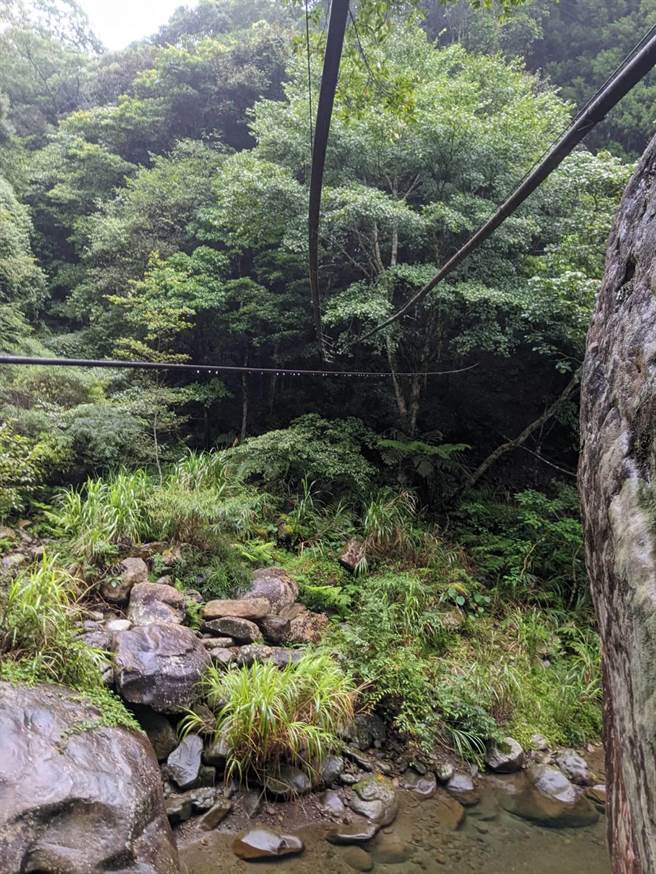 嫌犯利用跨溪索道运送盗採的林木。（翻摄照片／李京升苗栗传真）