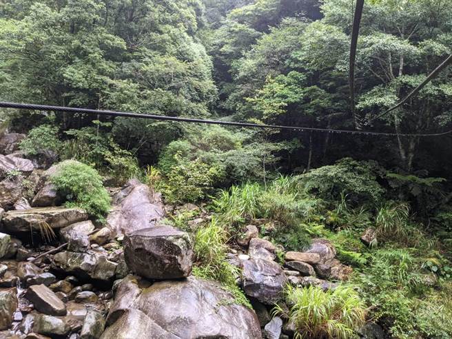 嫌犯利用跨溪索道运送盗採的林木。（翻摄照片／李京升苗栗传真）