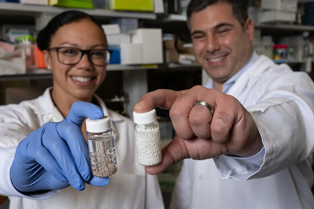 莱斯大学所发明的抗癌珠子，每个珠子都是1个小小的抗癌药物工厂，持续释放IL-2白血球介素，以催促、训练白血球正确识别癌细胞。图/莱斯大学(photo:ChinaTimes)