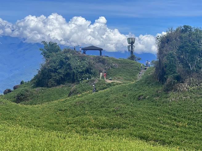 花莲县富里乡六十石山的金针开花成数较歷年减少4成，县府估计农损达3成5，经向农委会争取启动天然灾害现金救助，每公顷2万9000元。（富理乡农会总干事张素华提供／罗亦晽花莲传真）