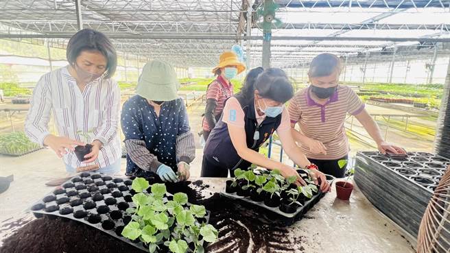 现任头份市长罗雪珠勤走基层20年不辍。（头份市公所提供／谢明俊苗栗传真）