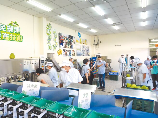 花蓮區農業改良場與瑞穗鄉農會合作，建置全台首座文旦柚量產加工技術與設備，盼減緩柚農運銷壓力，並提升農產品附加價值。（羅亦晽攝）