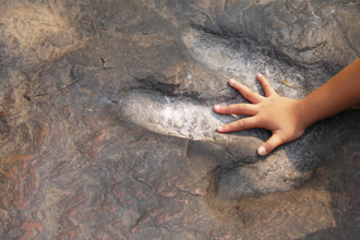 德州大旱 乾涸河床露出1.13億年前恐龍新足跡