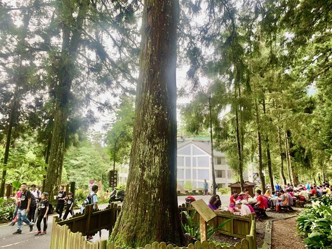 台大林管处招募志工为游客导览解说，深化环境教育。（廖志晃摄）