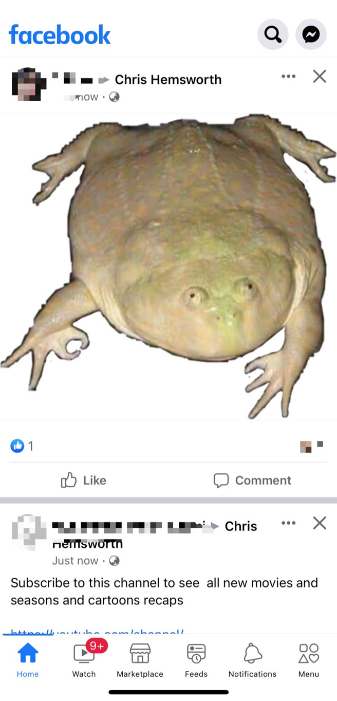 打開臉書發現動態被奇怪的貼文洗版，一堆網友貼文給克里斯·漢斯沃（Chris Hemsworth）。（圖／翻攝自臉書）