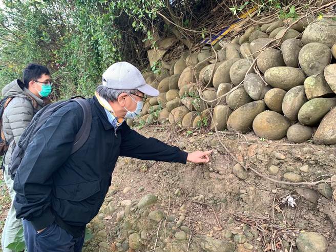 苗栗县竹南镇山佳里山佳遗址现场仍保存有大量古陶片露头。（台湾陶文史协会提供／谢明俊苗栗传真）