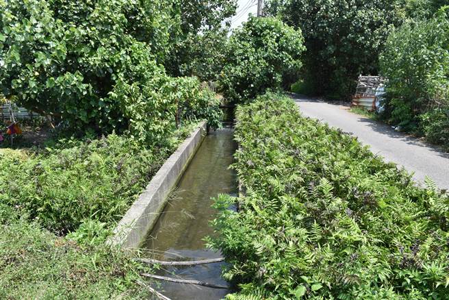 山佳遗址就在现今信和电视旁农田可以大量古陶露头。（谢明俊摄）