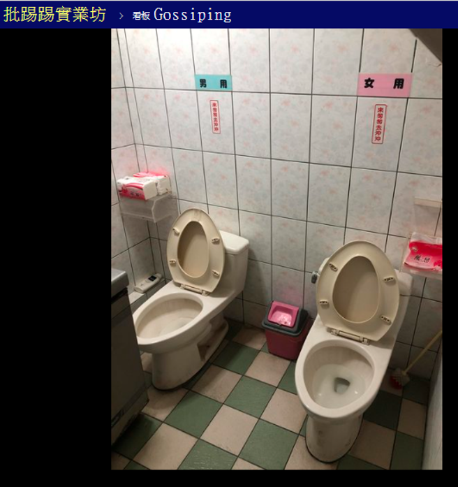 原PO拍下厕所的照片和网友分享，从中可见两个马桶并排安装，且只有不到一步的距离，墙上还注明「男用」、「女用」。（图／撷取自PTT）
