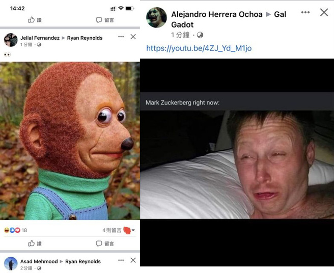 用户回报脸屋动态墙出现不相干的迷因跟梗图。（图／翻摄PTT）