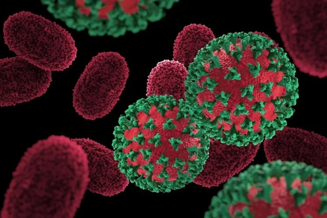 义大利出现3种病毒：猴痘、新冠、爱滋同时感染的患者。(图/shutterstock)