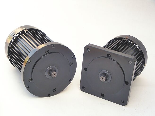 速克立直流无刷马达。图／业者提供