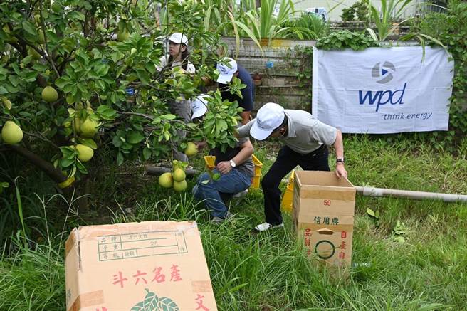 达德能源採购云林县斗六文旦，帮沿海4乡长青食堂加菜。（达德能源提供／张朝欣云林传真）