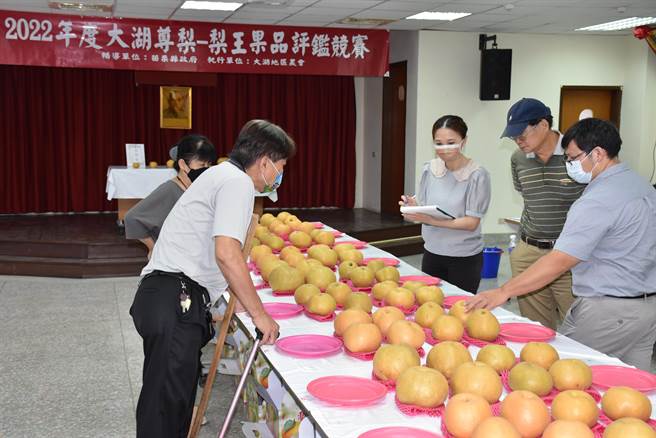 大湖乡农会25日举办梨王争霸战。（谢明俊摄）