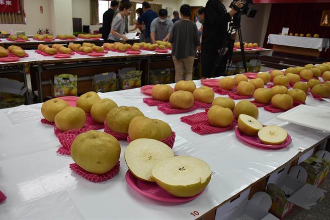 大湖生产的甘露梨个大、汁多、味甜，逐渐受到市场欢迎。（谢明俊摄）