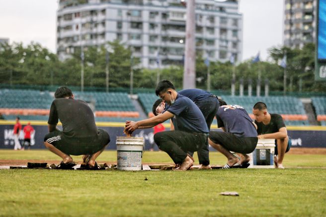 新庄棒球场雨势趋缓，工作人员进行场地整理。（杜宜谙摄）