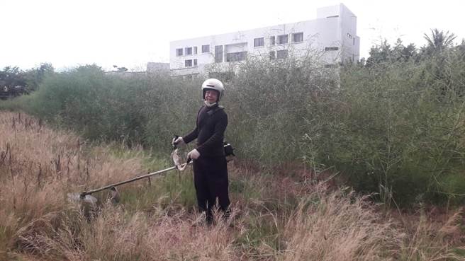 台南市学甲区明宜里长凃志宏苦诉，天仁工商操场的杂草长到比人高，担心成了登革热温床，只好摸摸鼻子自行除草。（凃志宏提供／张毓翎台南传真）