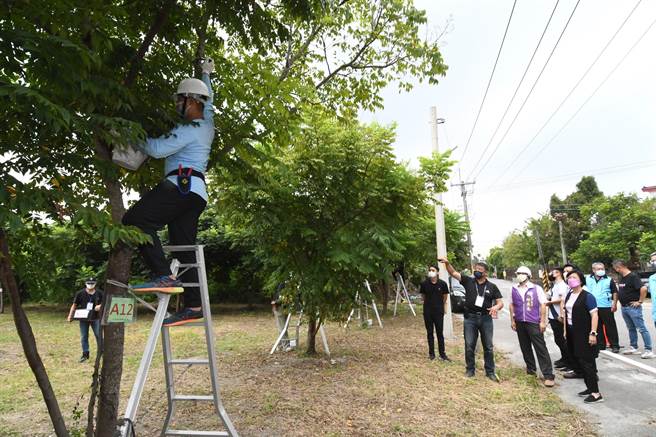 学员在经过树木、景观树木修剪、植栽养护等相关课程后，通过学术科测验才能拿到证照，首梯次考试共66人参加，有55人合格。（县府提供／吴建辉彰化传真）
