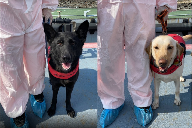 海巡署澎湖破获史上最大K他命毒品走私案。(海巡署提供)
