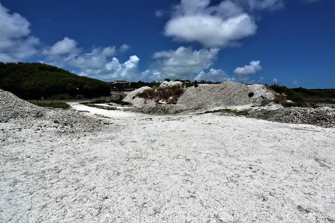 马公市公所循白沙乡公所作业模式却无法进场，因须将蚵壳日晒雨淋超过90天以上、沥乾、碾碎后直径大小不得超过3公分、去蚵绳等处理。（张茂雄摄）