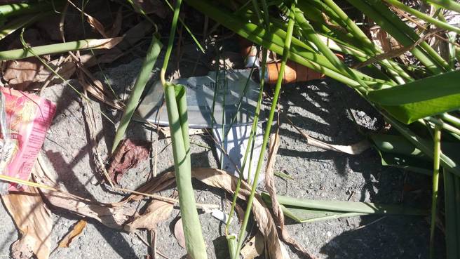 台南1名年约40岁的男子，今（26）下午3时许手持双菜刀欲攻击学甲区宅港派出所值班员警，遭警方连开13枪制伏，男子身中6枪无生命危险。（翻摄画面）