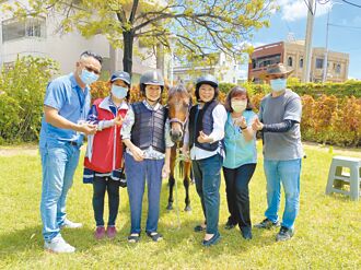 嘉市樂齡運動 明年擬辦騎馬體驗
