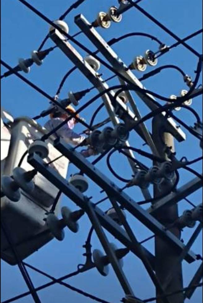 高雄连续3天停电，元凶不是白蚁就是松鼠。（柯宗纬翻摄）