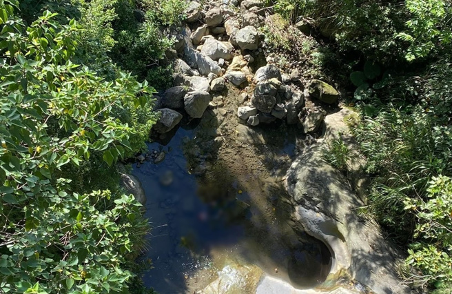 1名重机骑士疑似因为车速过过快，自撞电线杆后，坠落50米深的溪谷中。（图／翻摄大埔阿婆湾╴路况回报）
