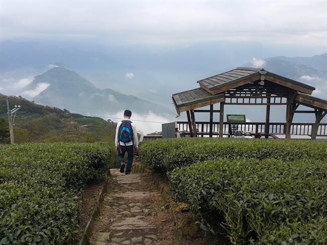 古坑乡二尖山步道名列全台百大必访步道之一。（周丽兰摄）