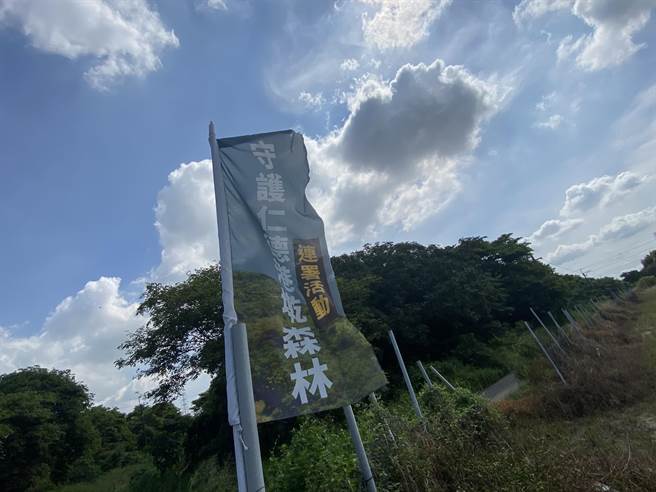 台南市政府計畫在港墘農場開發綠能產業園區，引來砍樹質疑，民間也有號召守護森林的聲音。(曹婷婷攝)