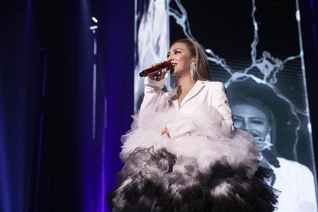 艾怡良昨在高雄流行音乐中心举办演唱会。（天地合提供）